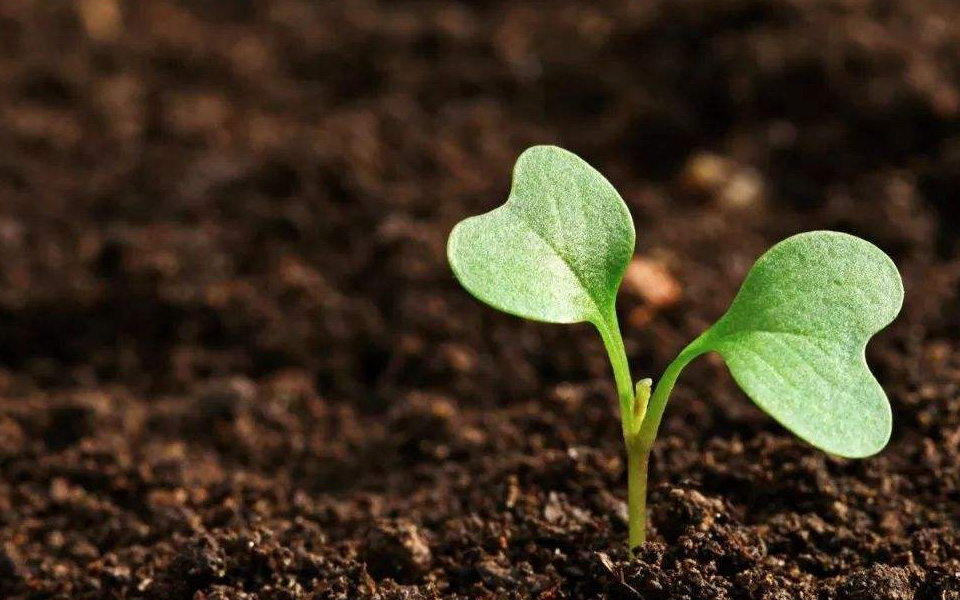 1686705835758433.jpg 3b7a5f937dc6ff9a9c90ccbc4951d8cd.jpg