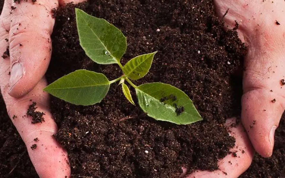 1690505721908430.jpg 7c8c938d64193be260e30d568c2b33b3.jpg